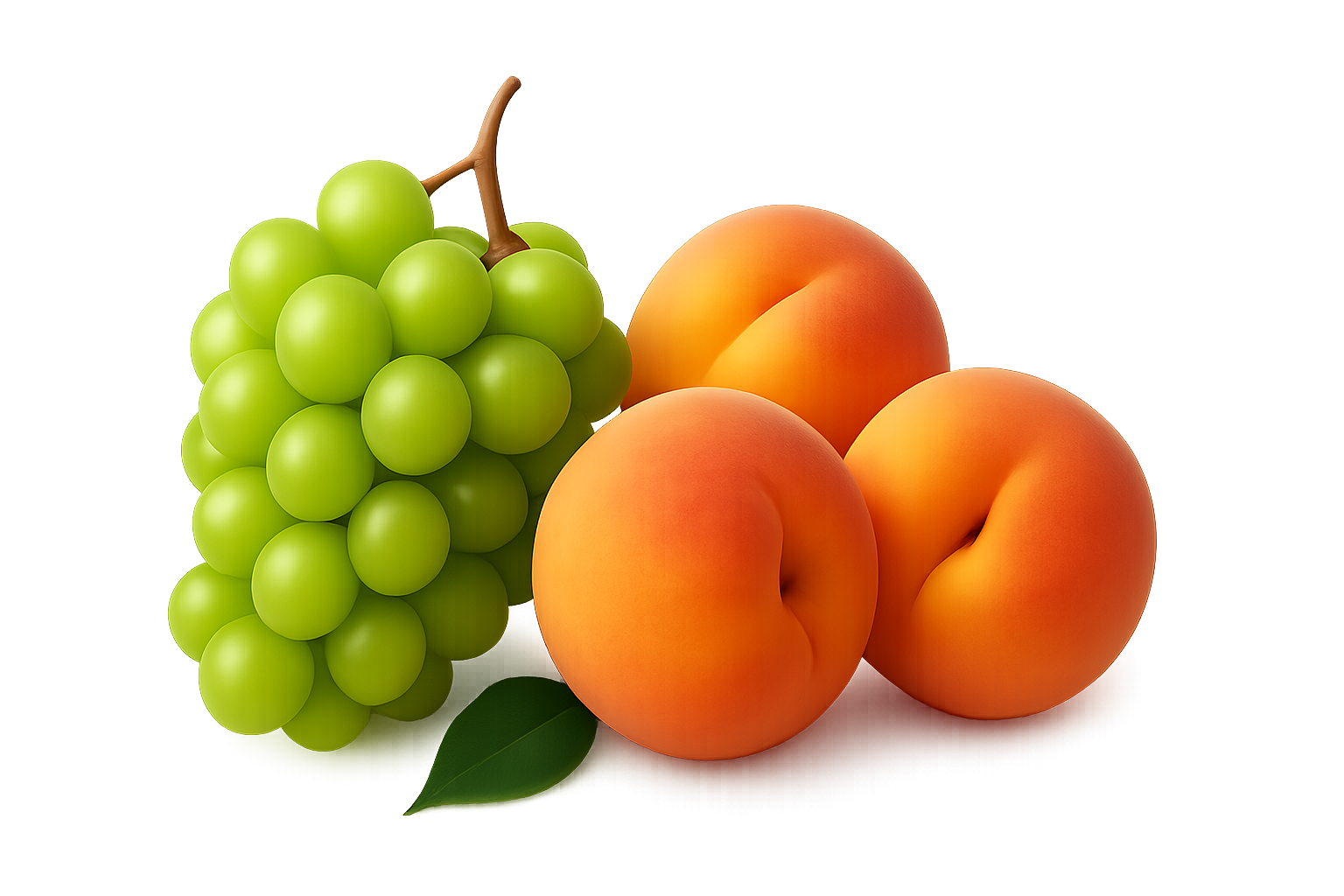 chatgpt image oct 9, 2025, 04 22 00 pm