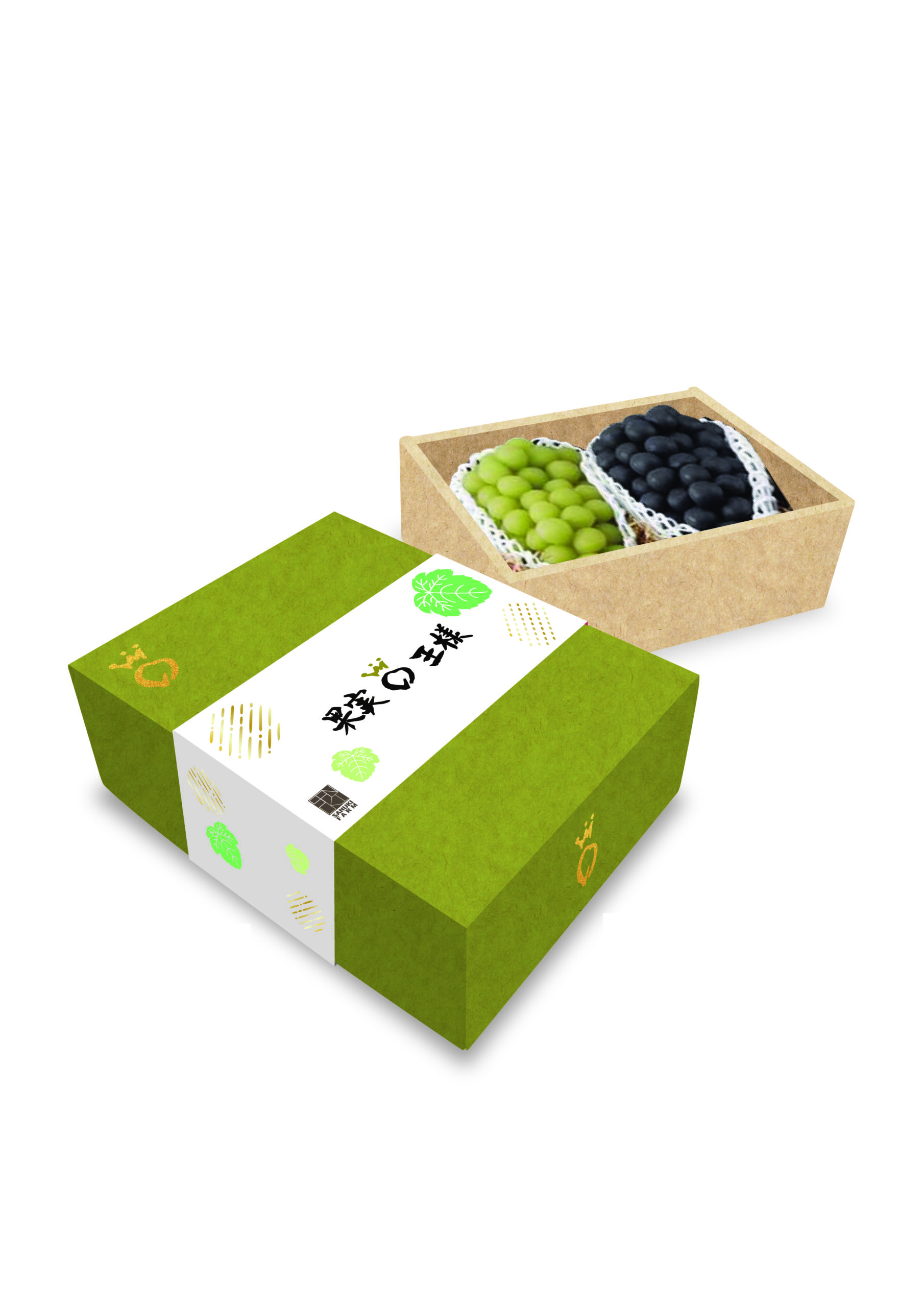 image-01 シャインマスカット