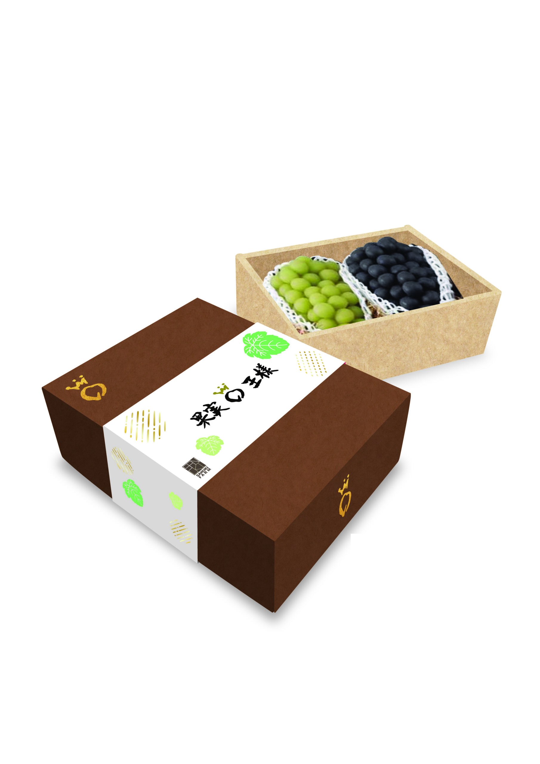 image-02 シャインマスカット